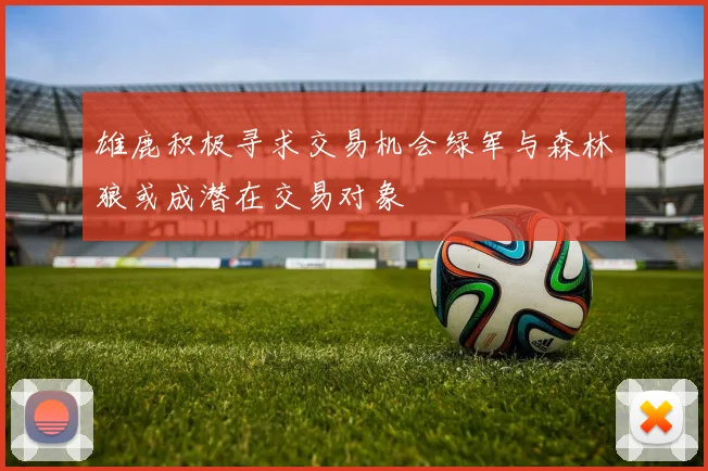雄鹿积极寻求交易机会绿军与森林狼或成潜在交易对象